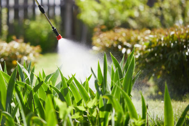 24/7 Emergency Mosquito Control experts in Iva, SC
