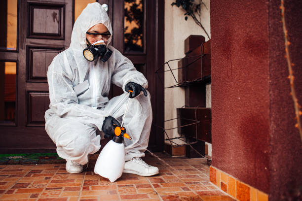 Reliable Mosquito Control contractor in Iva, SC by Show Me Pest Control
